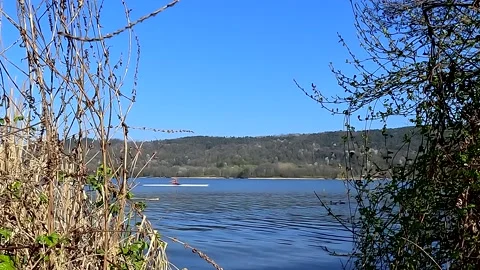 Lake in the park Stock Footage 208887563