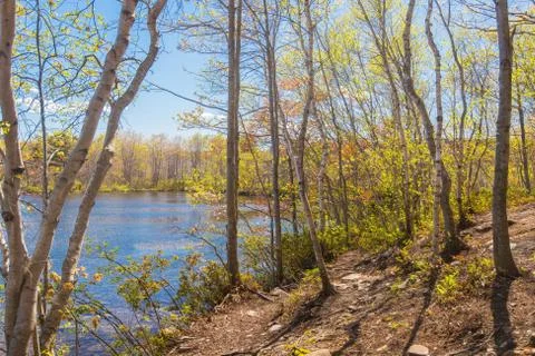 Lake in the park Stock Photos