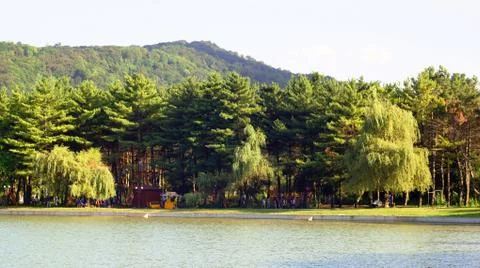 Lake in the park Stock Photos