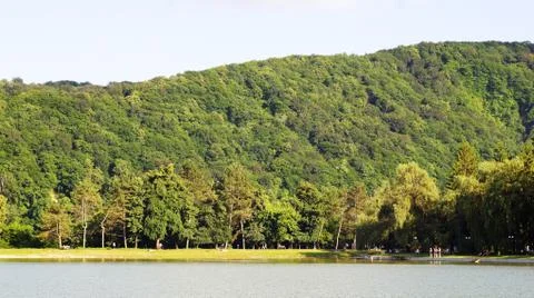 Lake in the park Stock Photos