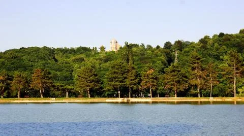 Lake in the park Stock Photos