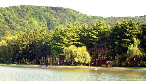 Lake in the park Stock Photos