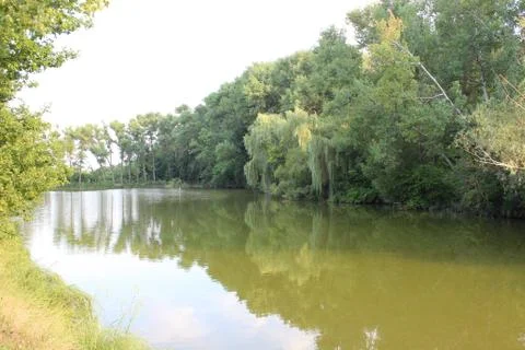 Lake in the park Stock Photos