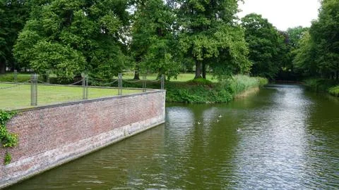 Lake in park 写真素材