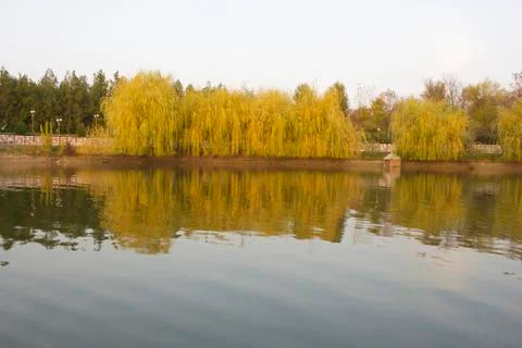 The lake in the park. Stock Photos