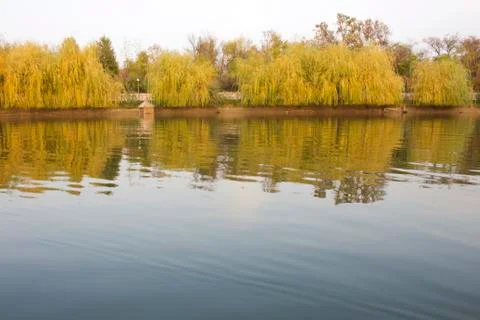 The lake in the park. Stock Photos