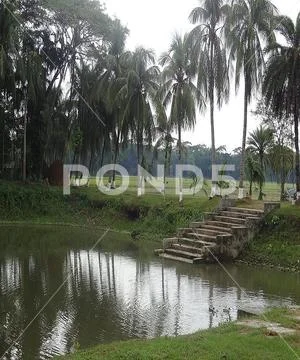 Lake in the park Stock Photos