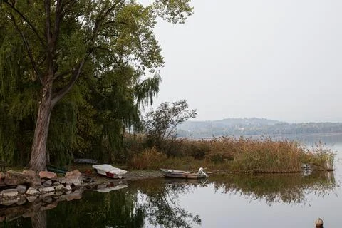 Lake in the park Stock Photos