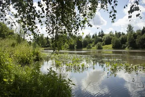 A lake in the park. Reflection of white clouds in the water. Beautiful park. Stock Photos