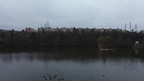 Lake in a Park Scene 動画素材 337356461