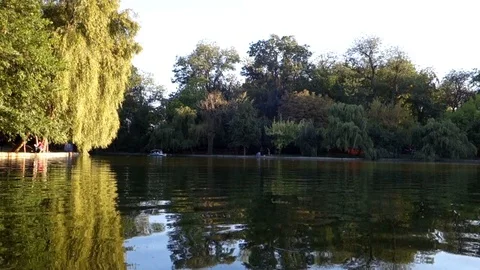 Lake in the park at sunset Stock Footage 101462954