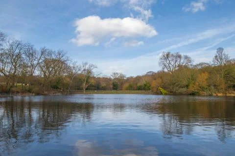 The lake in a park surrounded by trees Stock Photos