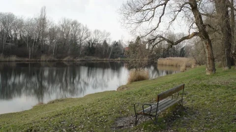 Lake in the park. winter. cold. rest bench Stock Footage 146325836