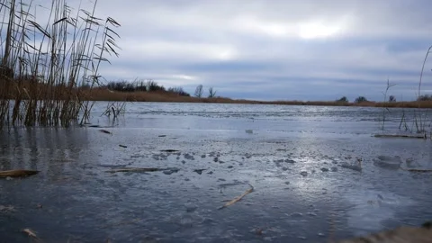 The lake is partially covered with ice. There are reeds swaying on the shore Video stock 228792133