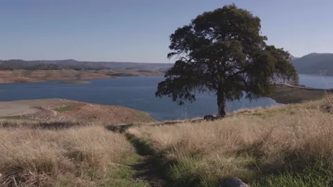 Lake with Path - Central California (Glory Hole Recreation Area) Stock Footage