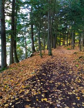 Lake Path Stock Photos