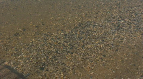 Lake Pebbles Stock Footage 841286