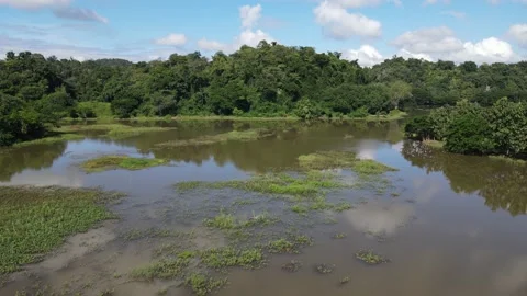 Lake by Pha Noi - District Loei in Thailand Stock Footage 148249271
