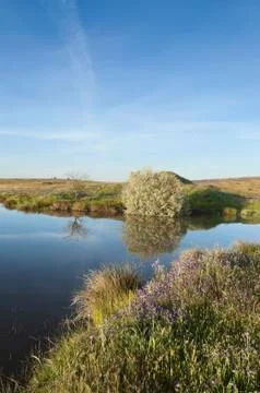 Lake Stock Photos