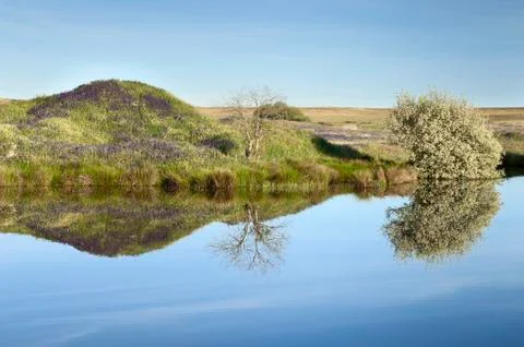 Lake Stock Photos