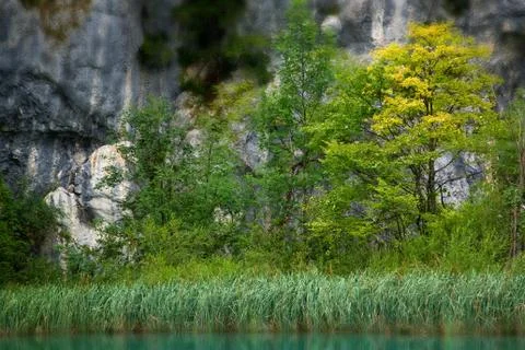 Lake Stock Photos