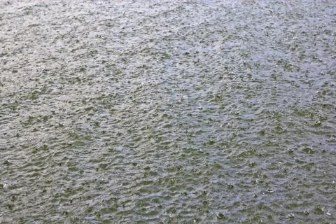The lake Stock Photos
