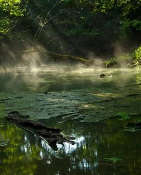 Lake Stock Photos