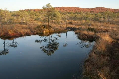 Lake Stock Photos