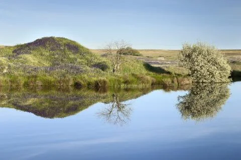 Lake Stock Photos