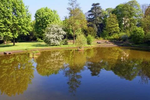 At a lake Stock Photos