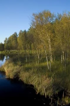 Lake Stock Photos