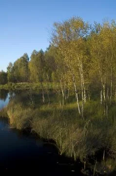 Lake Stock Photos