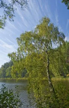 Lake Stock Photos
