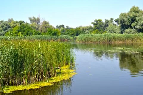 On the lake Stock Photos