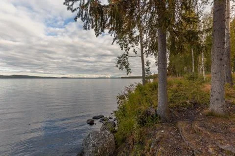 By the lake Stock Photos