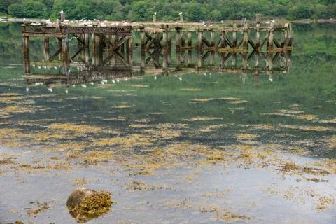 Lake Stock Photos