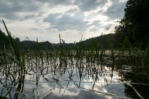 Lake Stock Photos