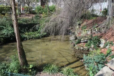 Lake Stock Photos
