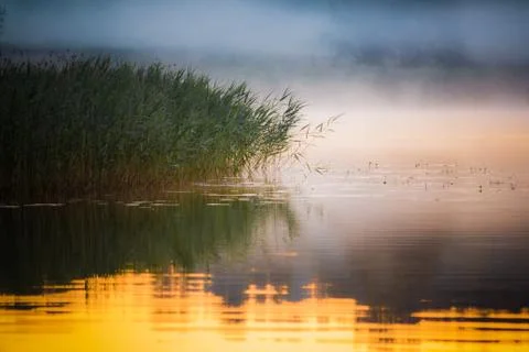 Lake Stock Photos