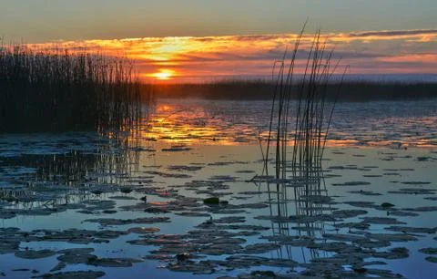 Lake Stock Photos