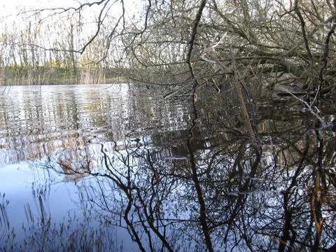 Lake Stock Photos