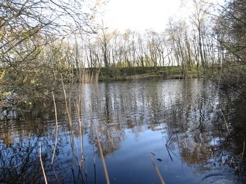 Lake Stock Photos