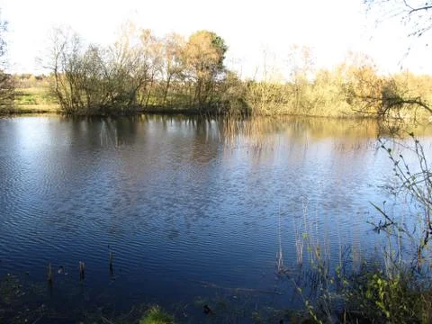 Lake Stock Photos