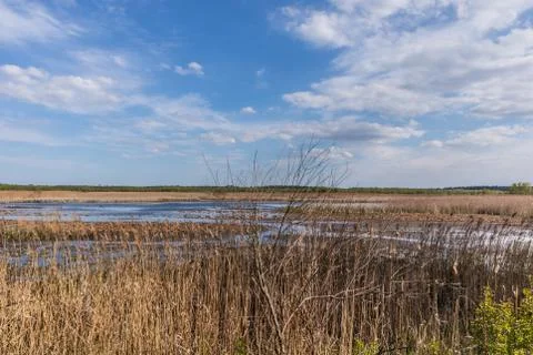 Lake Stock Photos