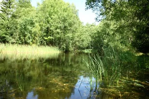 Lake Stock Photos