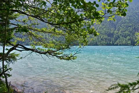 The lake Stock Photos