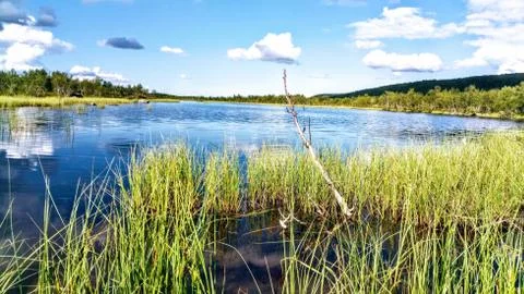 Lake Stock Photos