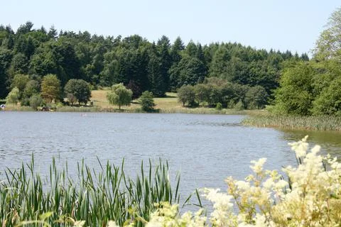 At the lake Stock Photos