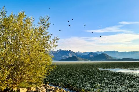 Lake Stock Photos