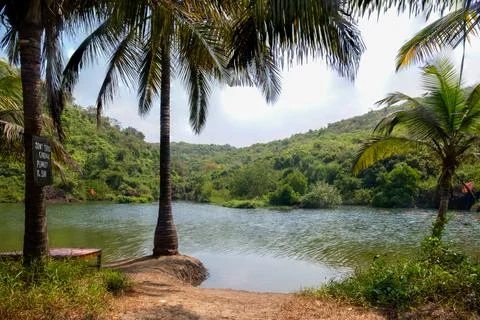 Lake Stock Photos